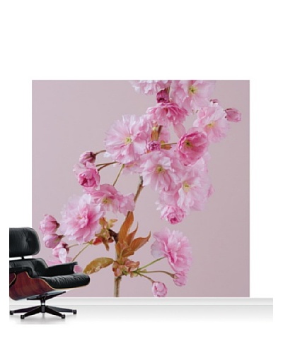 Clive Nichols Photography The Flowers of Prunus Kanzan Standard Mural – 8′ x 8′