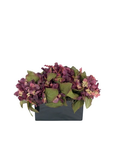 Creative Displays Plum Hydrangea in Black Sill Pot