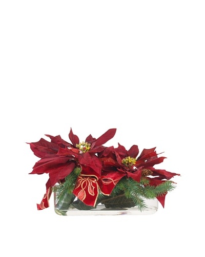 Creative Displays Poinsettia & Pine in Long Glass