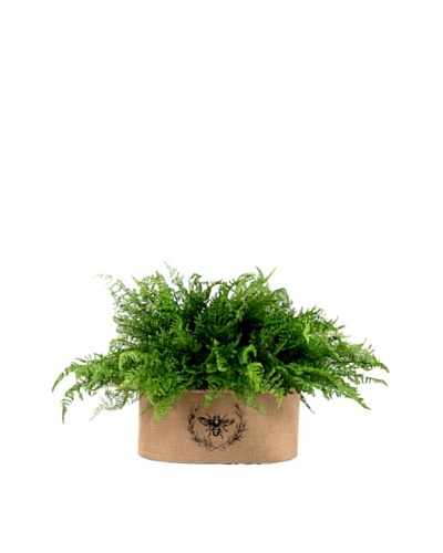 Creative Displays Fern in Oval Burlap