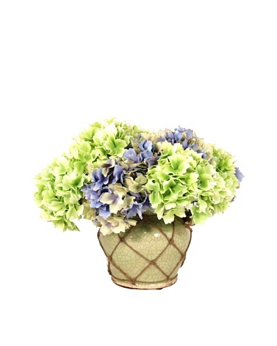 Creative Displays Mixed Hydrangea in Rope Pot