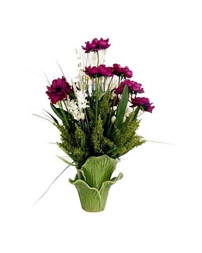 Creative Displays Anemone & Thistle in Green Leaf Pot