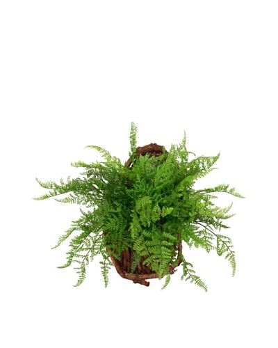 Creative Displays Fern Wall Basket