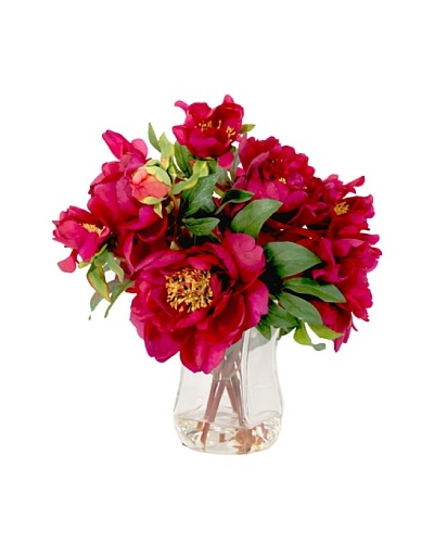 Creative Displays Burgundy Peonies in Glass Vase