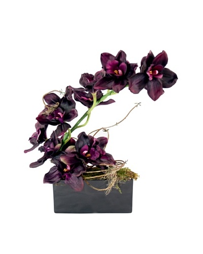 Creative Displays Purple Orchid in Black Sill Pot