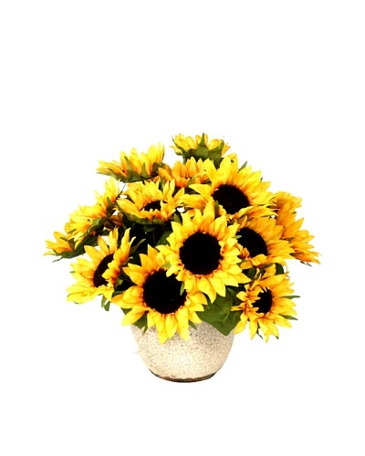 Creative Displays Sunflowers in Cream Pot