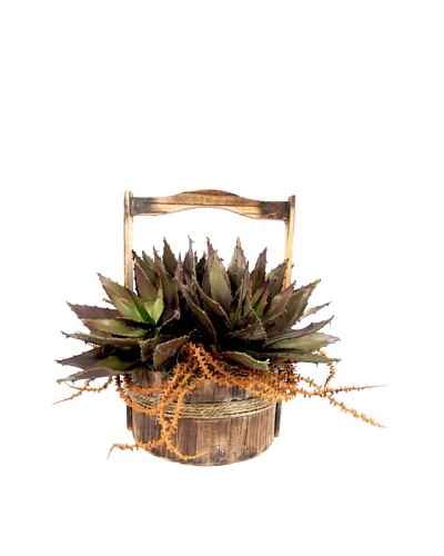 Creative Displays Succulents In Wooden Basket