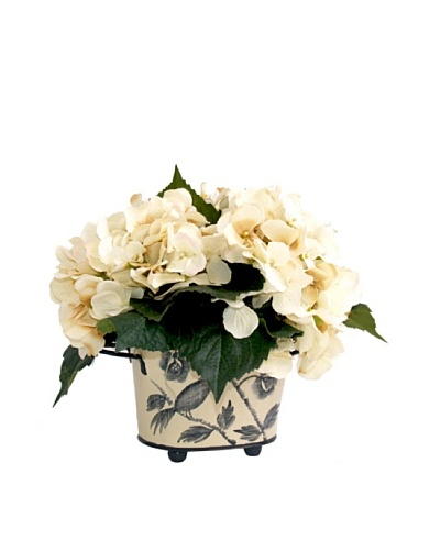 Creative Displays Cream Hydrangea in Tall Container