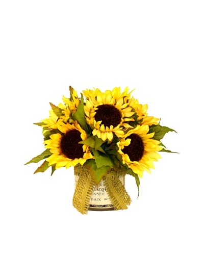 Creative Displays Sunflowers in Label Pot