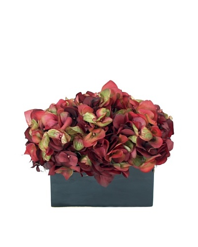 Creative Displays Wine Hydrangea in Black Sill Pot