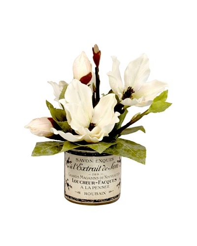 Creative Displays Magnolias in Label Pot, White