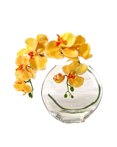 Creative Displays Gold Orchid in Acrylic Water