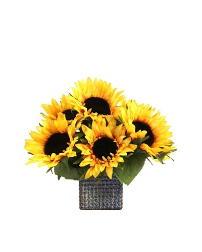 Creative Displays Sunflowers in Square Pot