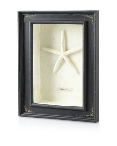 Diamond Reef Starfish Shadow Box [Black]