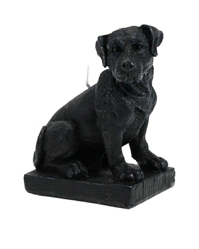 D.L. & Co. Labrador Candle, Black