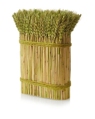 Barley Stack Décor, Green/Yellow