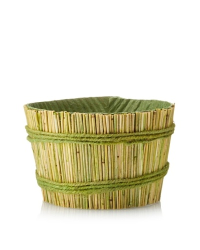 Straw Container, Green/Yellow