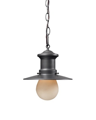 Artistic Lighting Maritime 1 Light 10″ Outdoor Pendant, Graphite