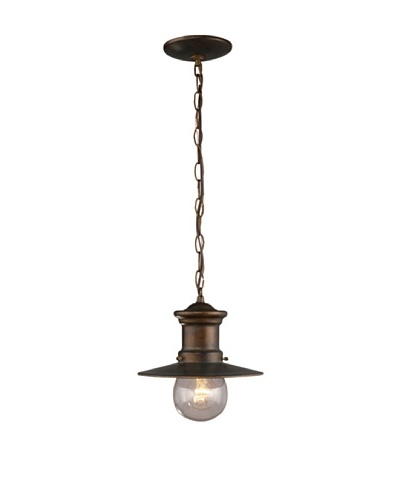 Artistic Lighting Maritime 1 Light 10 Outdoor Pendant, Hazelnut Bronze