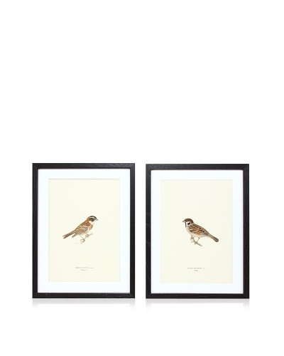 Wright Brothers Bird Prints, C. 1920, Pair