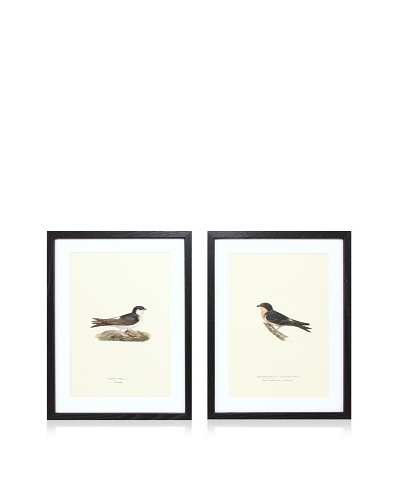 Wright Brothers Bird Prints, C. 1920, Pair