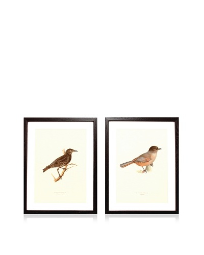 Wright Brothers Bird Prints, C. 1920, Pair