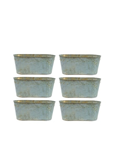 Set of 6 Planters