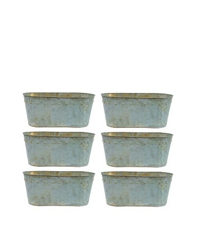 Set of 6 Planters