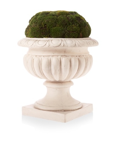 Forever Green Art Decorative Moss Display and Urn