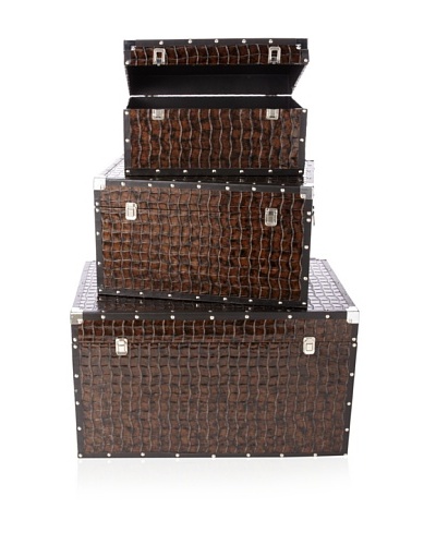Firefly Home Collection Set of 3 Brown Trunk Sets