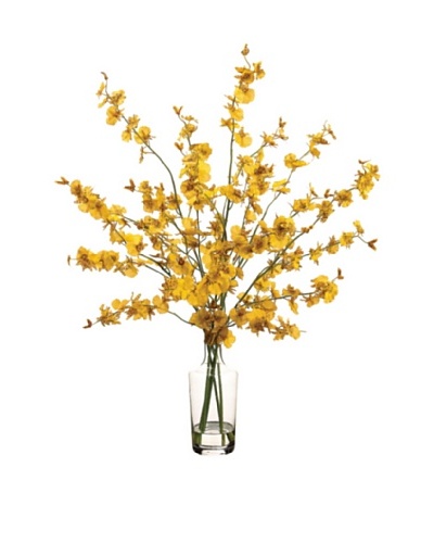 Oncidium In Glass Vase