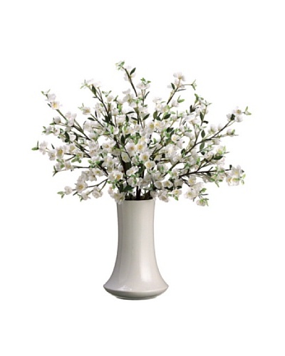 Apple Blossom Plant, White