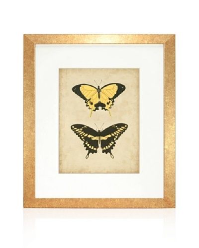 Antique Butterfly Pair I