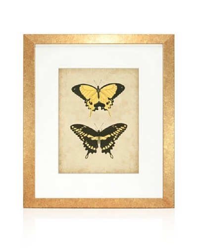 Antique Butterfly Pair I