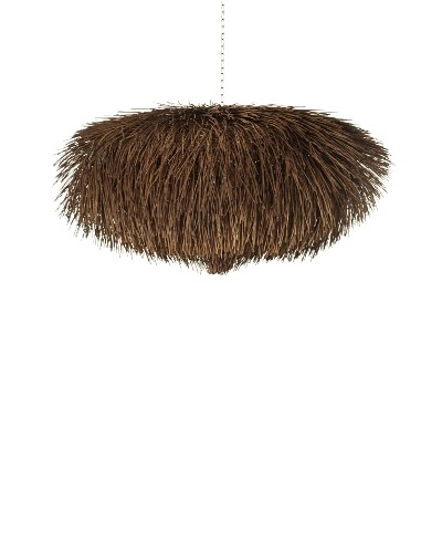 Foreign Affairs Urchin Hanging Lamp [Dark Brown]