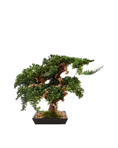 Forever Green Art Handmade Large Monterey Bonsai Tree