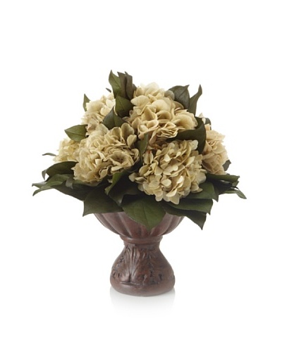 Forever Green Art Natural Hydrangea Vase