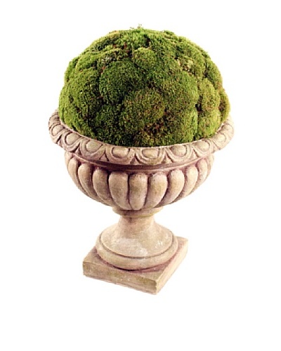 Forever Green Art Handmade Moss Display in Villa Urn