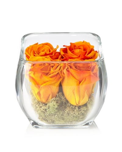 Glass Rose Cube – Orange