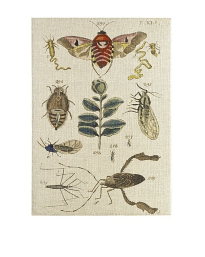 French Linen Collection Nature’s Museum Tapestry