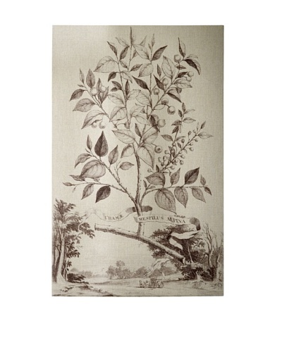 French Linen Collection Munting Tree Tapesty