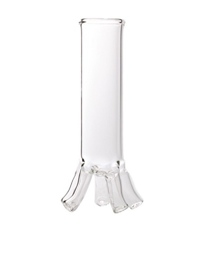 Fusion Z Root Vessel Tube, Clear