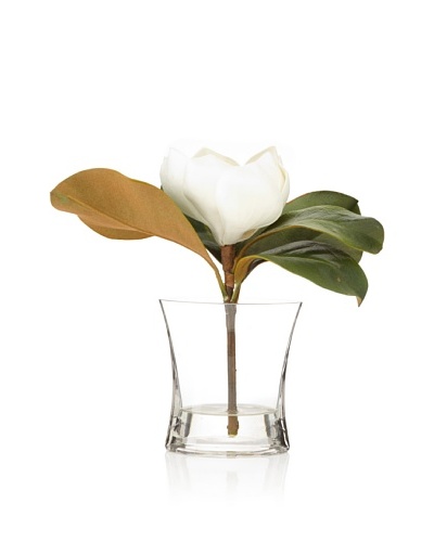Winward Magnolia In Squeeze Vase