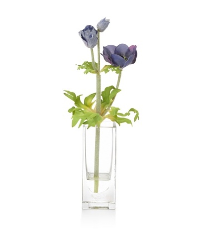 Winward Poppy In Medium Bottle Vase