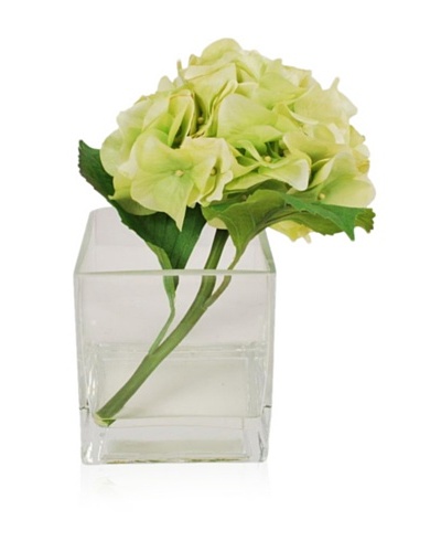 Winward Hydrangea In Tall Square Vase