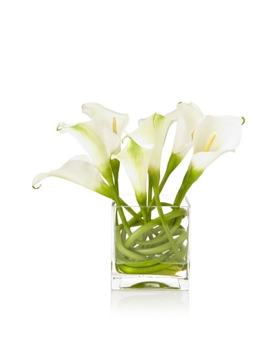 Winward Calla In Square Vase