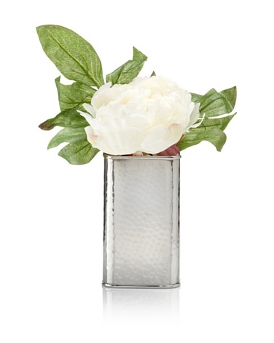 Winward Cream Peony In Silver Box