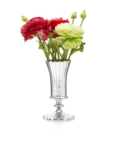 Winward Ranunculus in Silver Vase