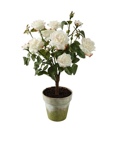 Winward Potted Faux Garden Rose, Champagne