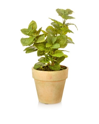 Winward Faux Mint in Pot